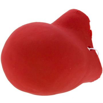 Clownsneus Rood | Gummi
