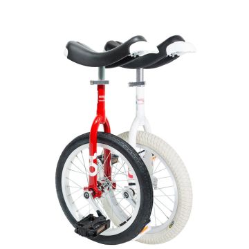 Only One 16 inch Eenwieler