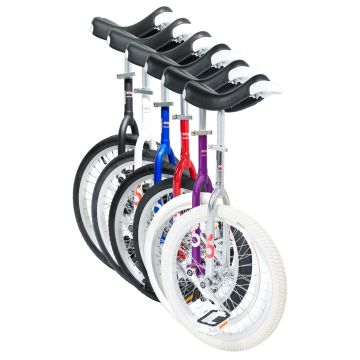 Only One 20 inch Eenwieler
